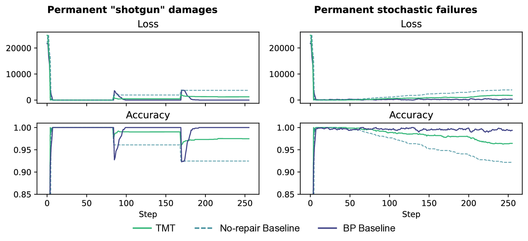 TMT Resilience to Damage