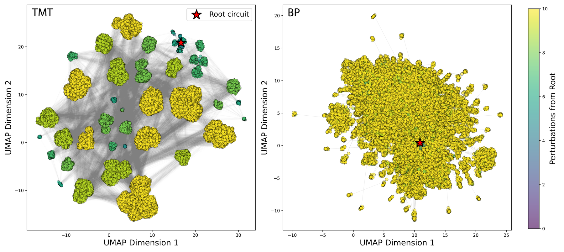UMAP of Circuit Solution Space